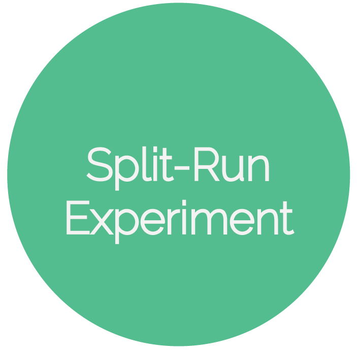 split run experiment 2-09